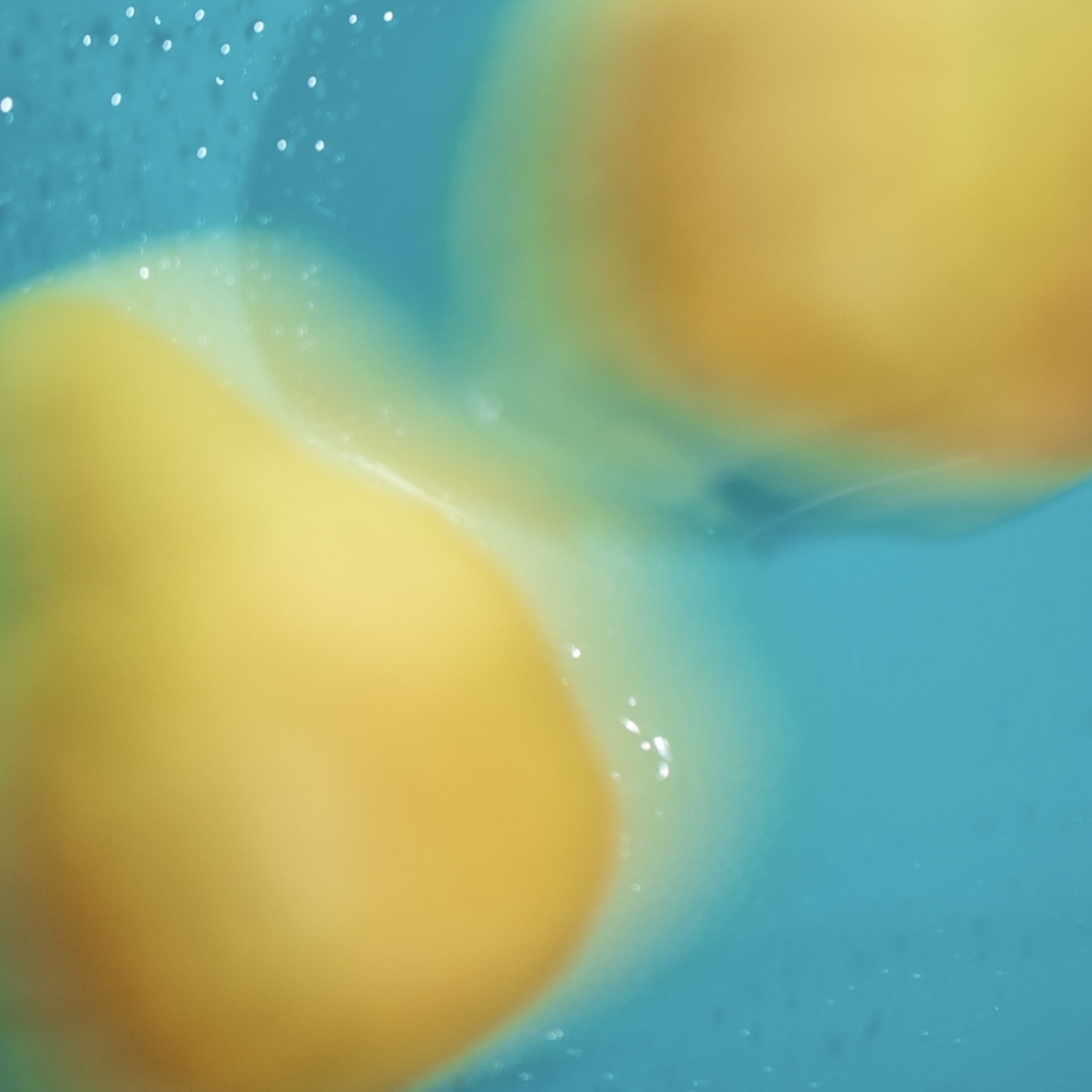 [限定] SHIRO Pear Eau de Parfum / Hair Serum / Diffuser