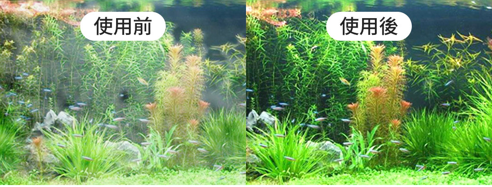 有效分解有毒物質，淨化水質，促進魚隻與水草健康成長