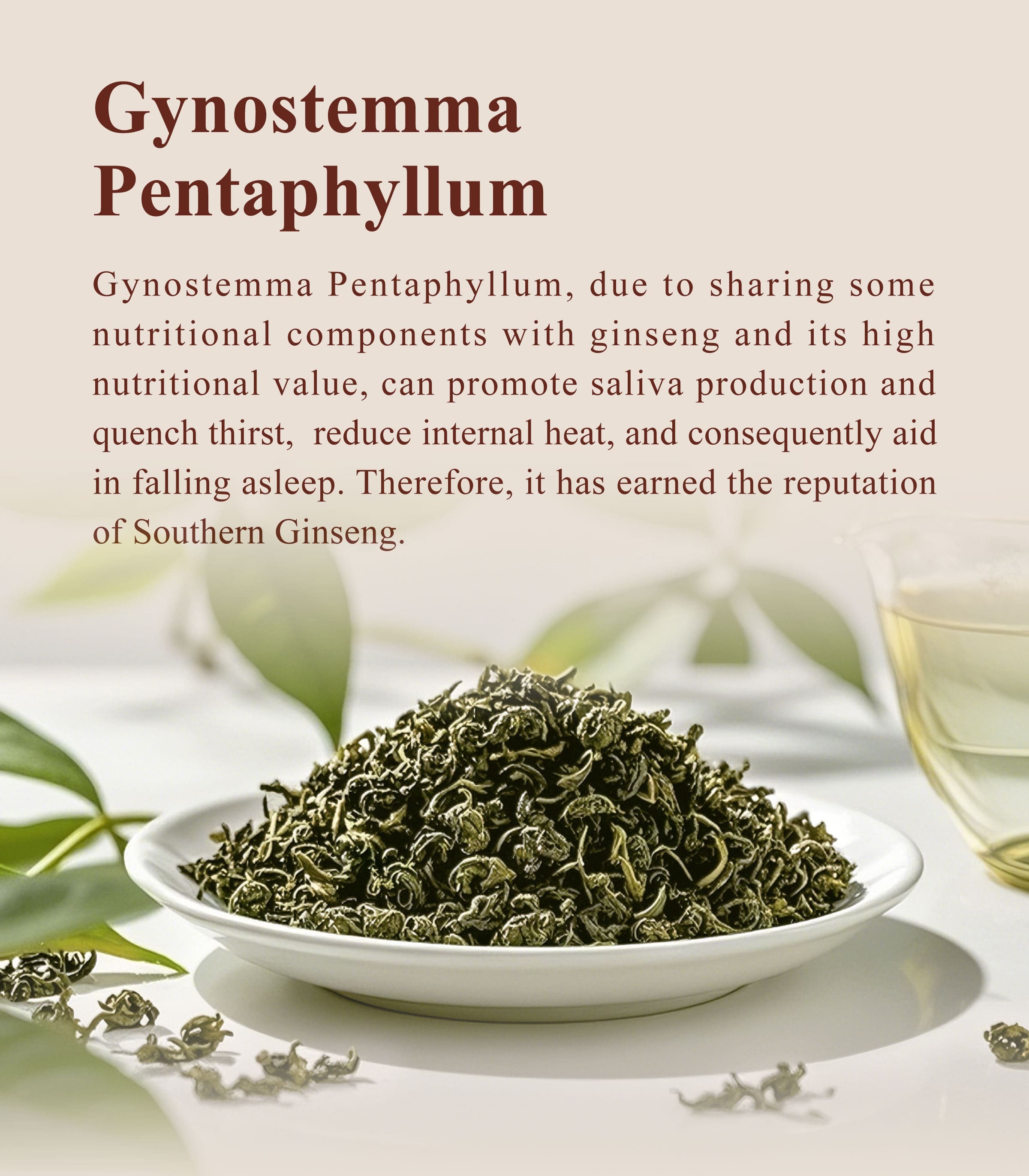 Introduction of Dengyi Gynostemma Pentaphyllum