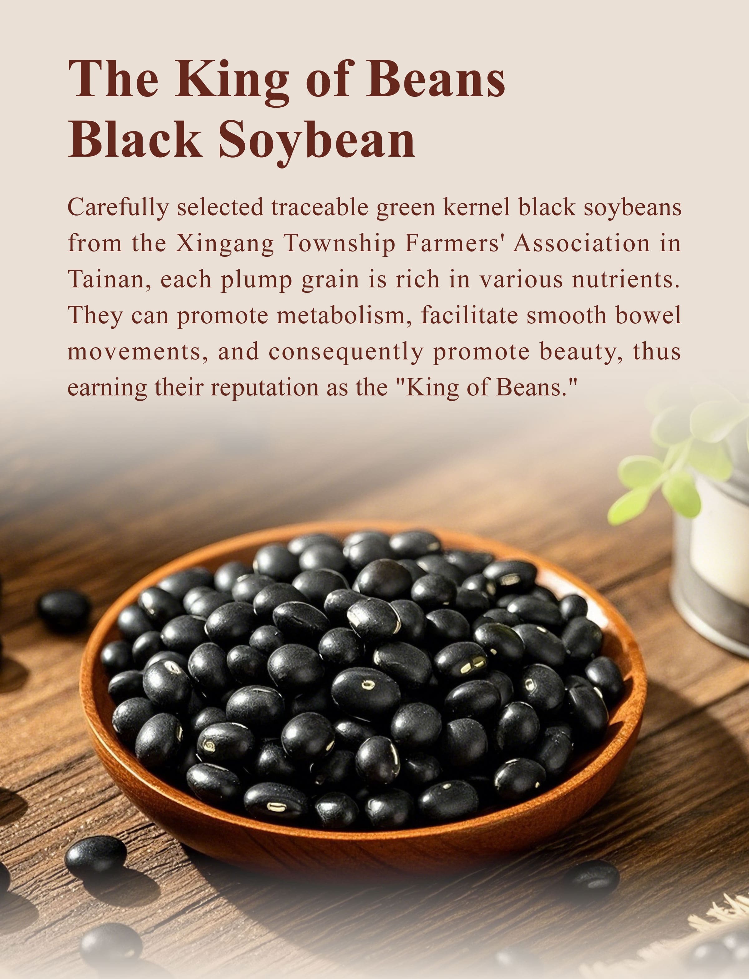 Introduction of Dengyi Black Soybean