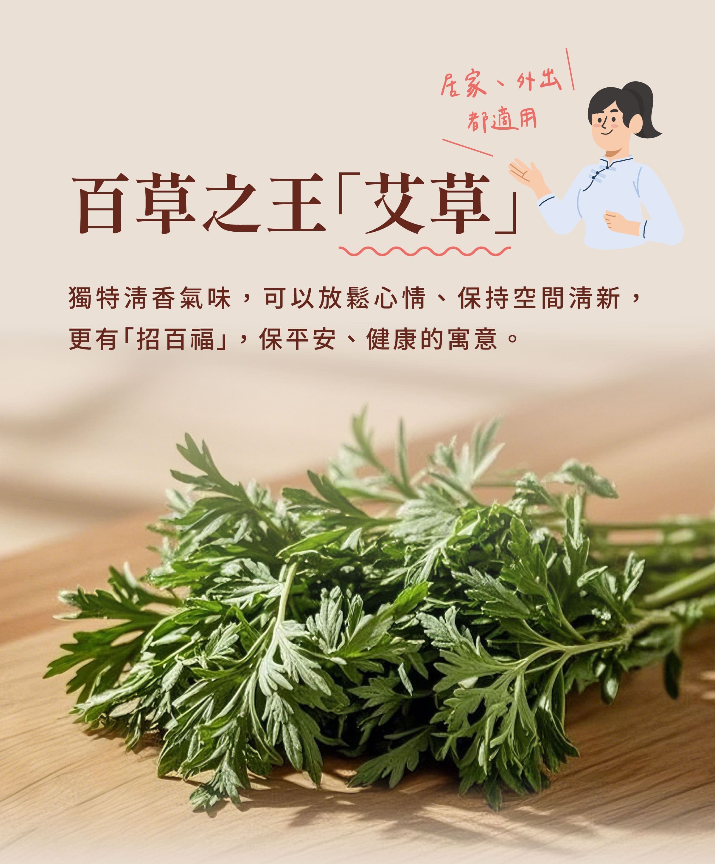 介紹台灣艾草薰香原料艾草