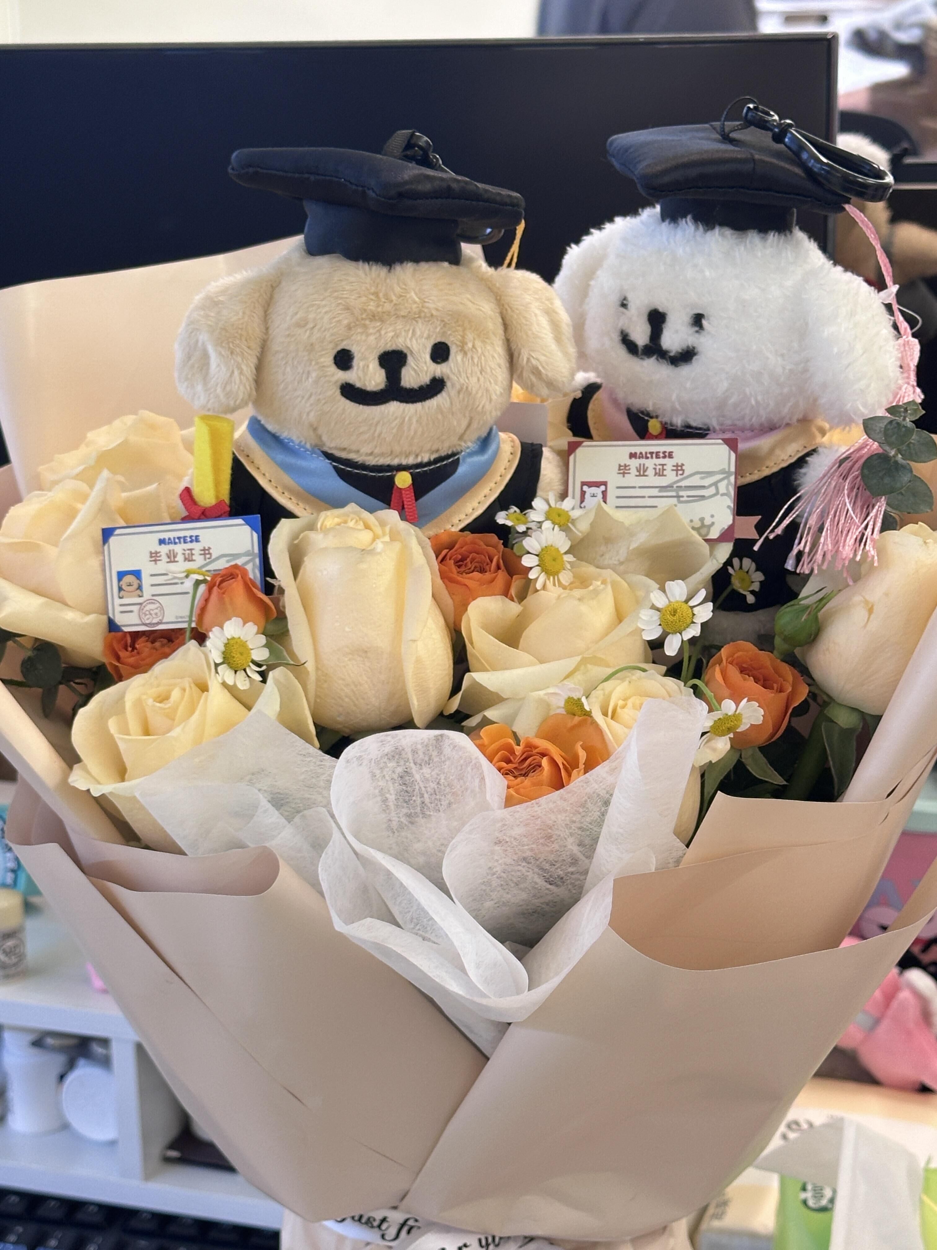 線條小狗 Maltese 馬爾濟斯 正版授權 畢業 學士服 畢業季系列 吊飾 鑰匙圈 毛絨公仔 (任買兩件711免運)/預購