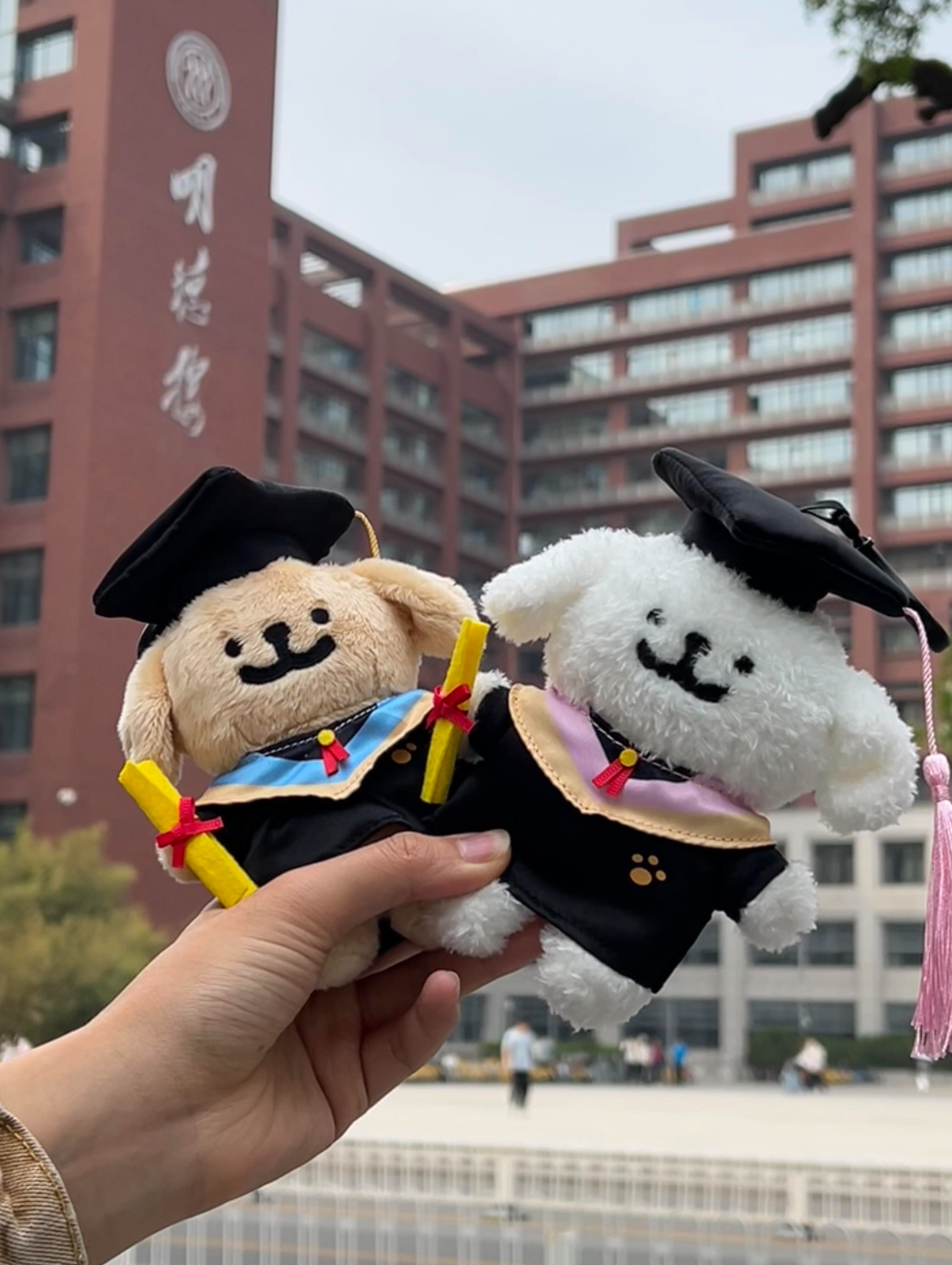 線條小狗 Maltese 馬爾濟斯 正版授權 畢業 學士服 畢業季系列 吊飾 鑰匙圈 毛絨公仔 (任買兩件711免運)/預購