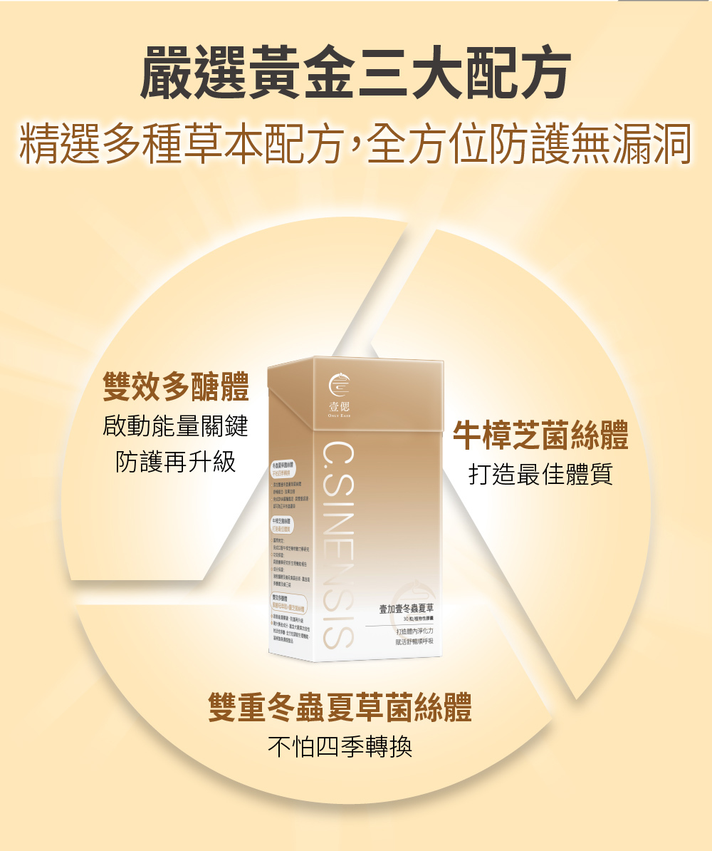 冬蟲夏草膠囊