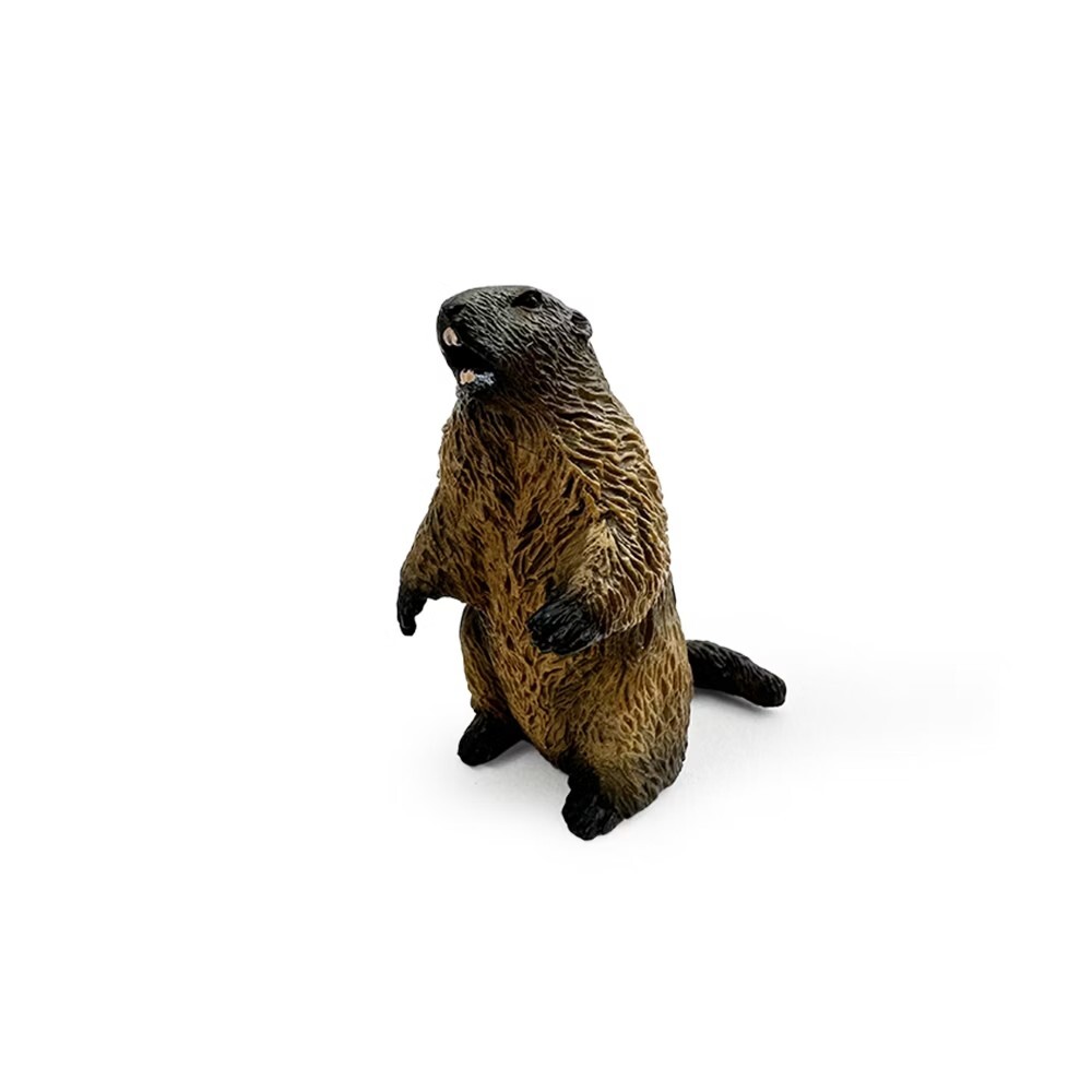 collectA 土撥鼠~英國高擬真模型-R80044
