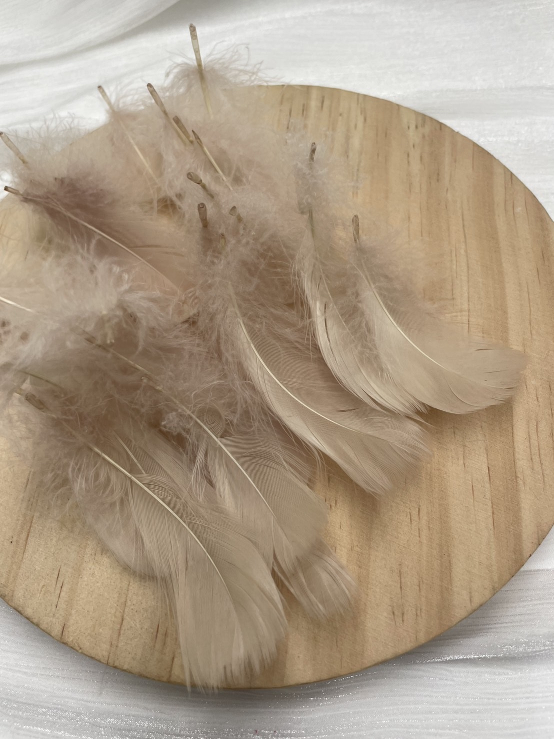 卡其小飄羽毛 5-8cm