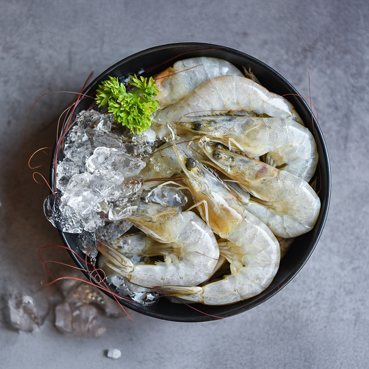 特選精緻組 ( XL ) 8包