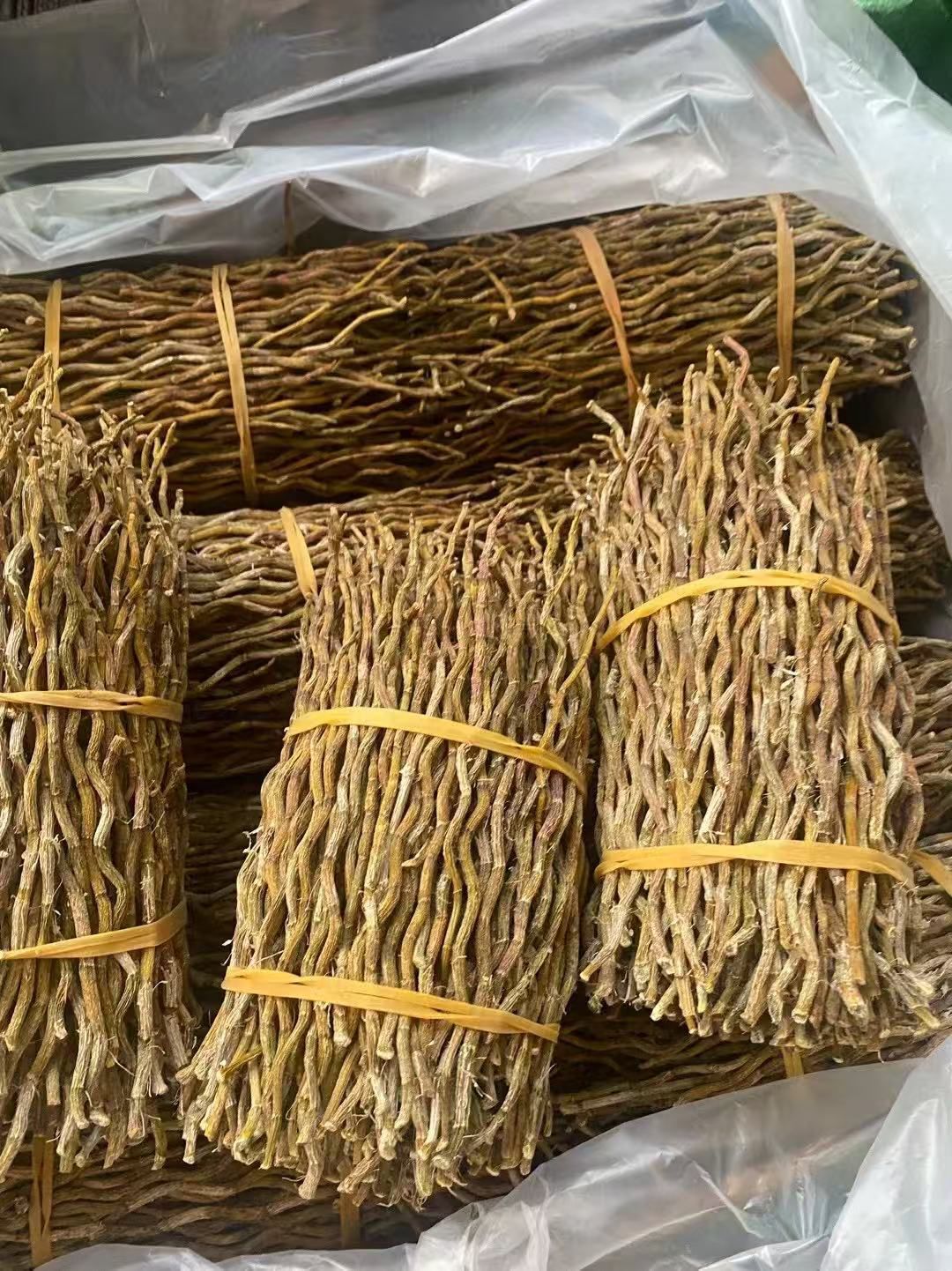 (2922)種植鐵皮石斛條300g