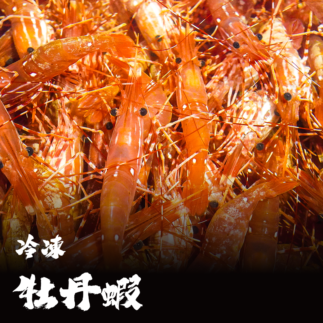 加拿大/俄羅斯 牡丹蝦