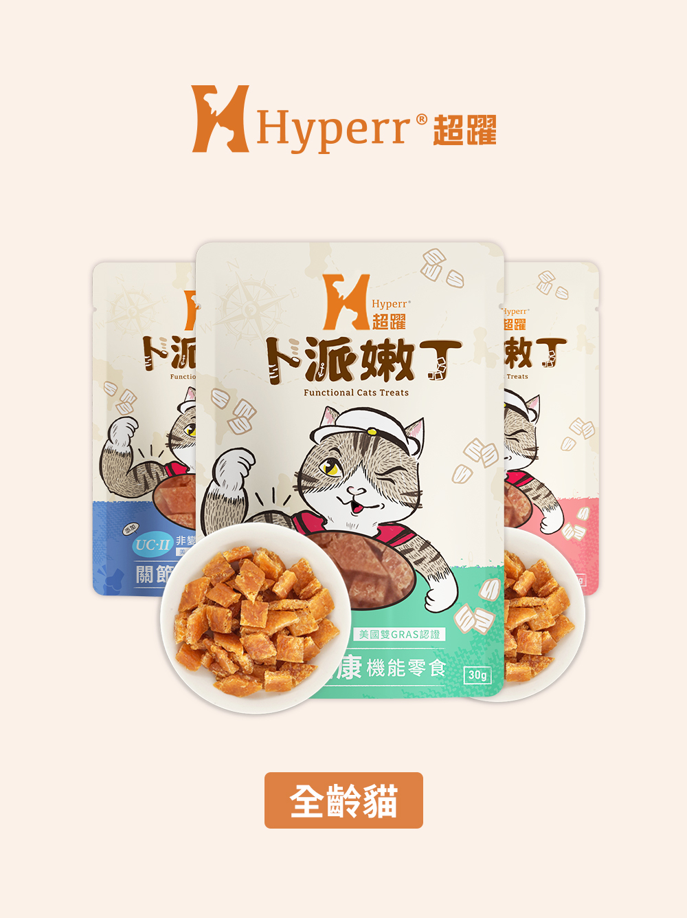 貓咪零食 | 全口味 嫩丁機能零食