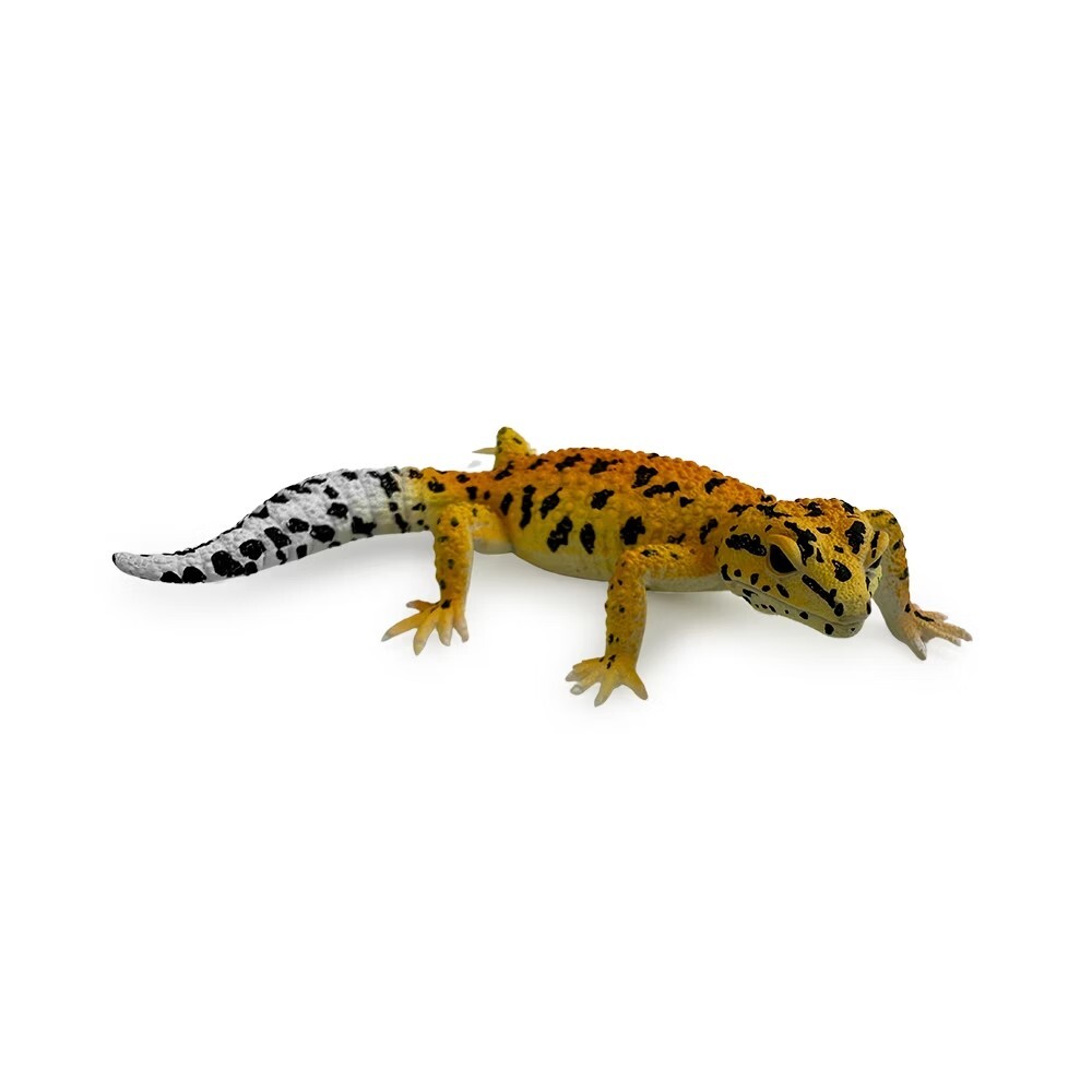 collectA 班紋壁虎~英國高擬真模型-R80043