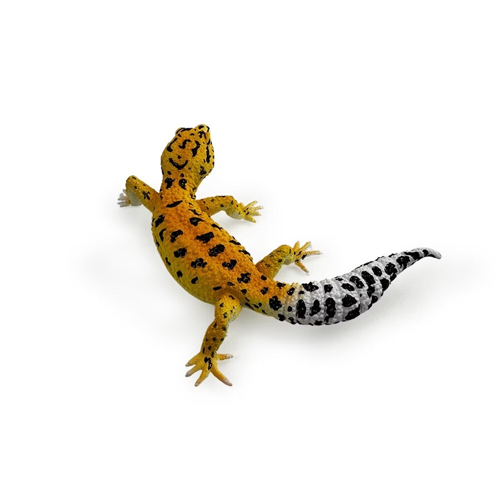 collectA 班紋壁虎~英國高擬真模型-R80043