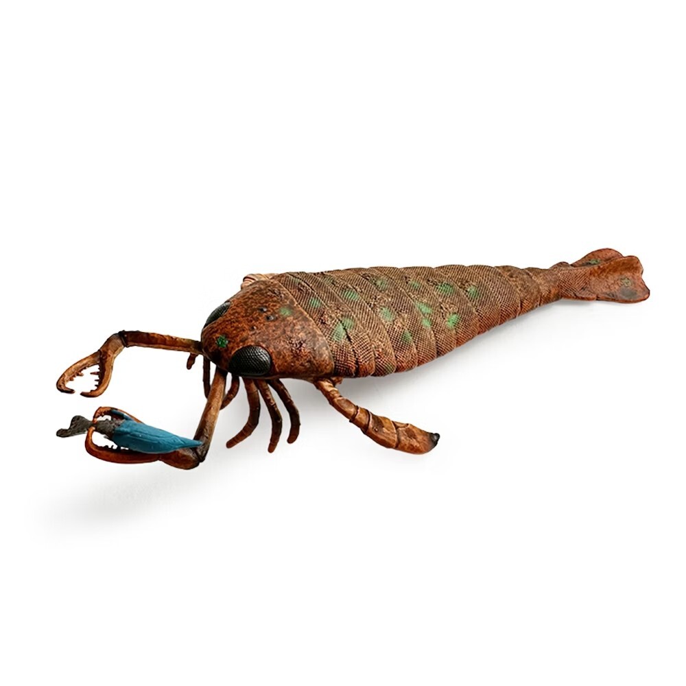 collectA 海蠍子及其獵物(1:20)~英國高擬真模型-R80030