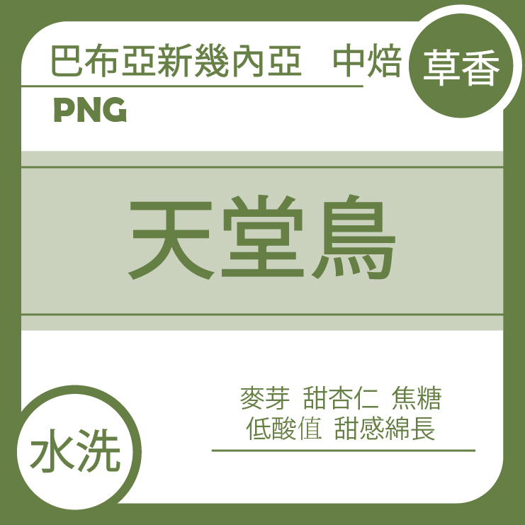 草香【巴布亞新幾內亞 天堂鳥 】水洗