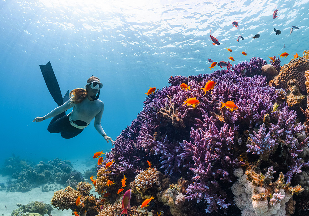 人類與海底生物共存
