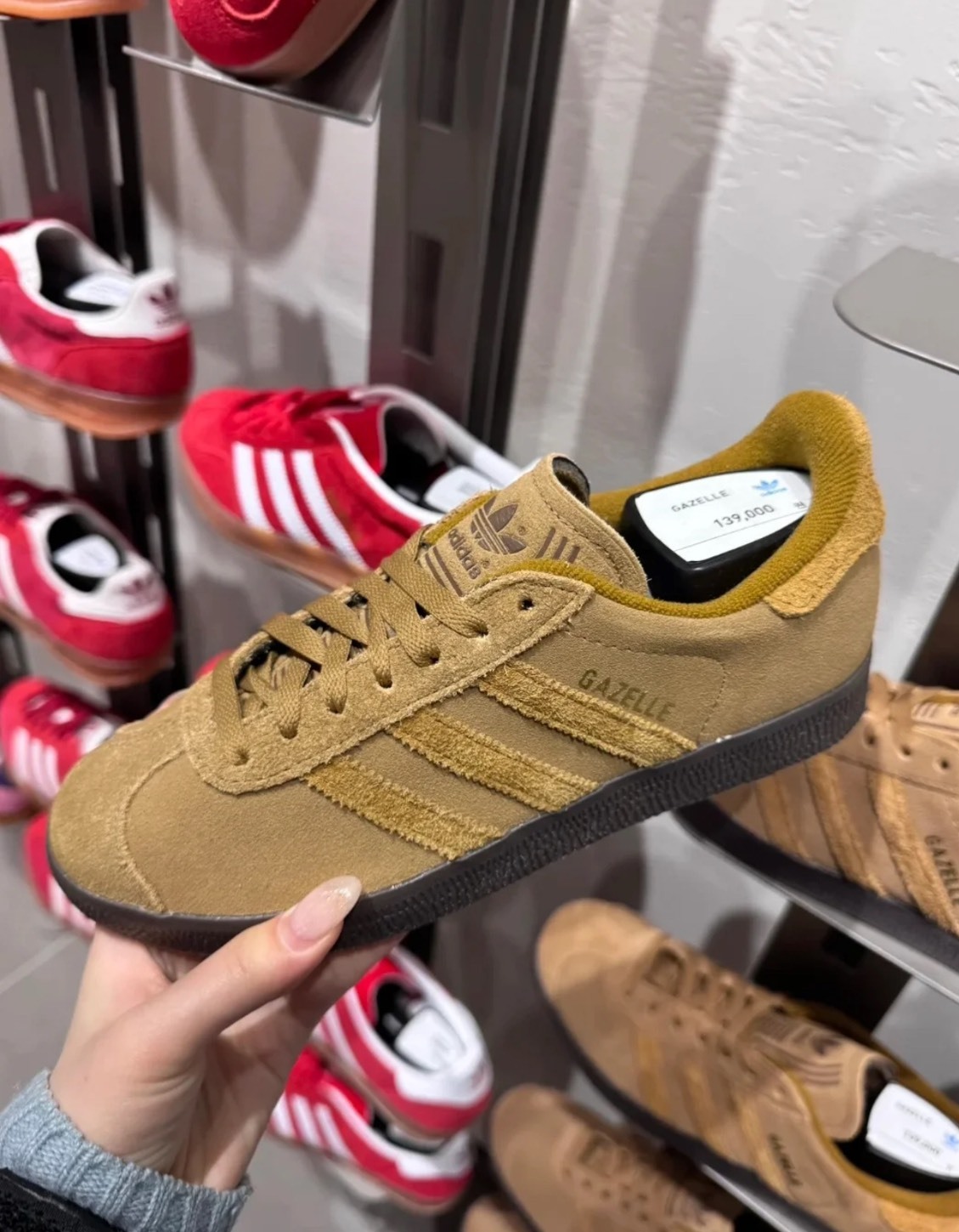 adidas GAZELLE 棕色復古板鞋