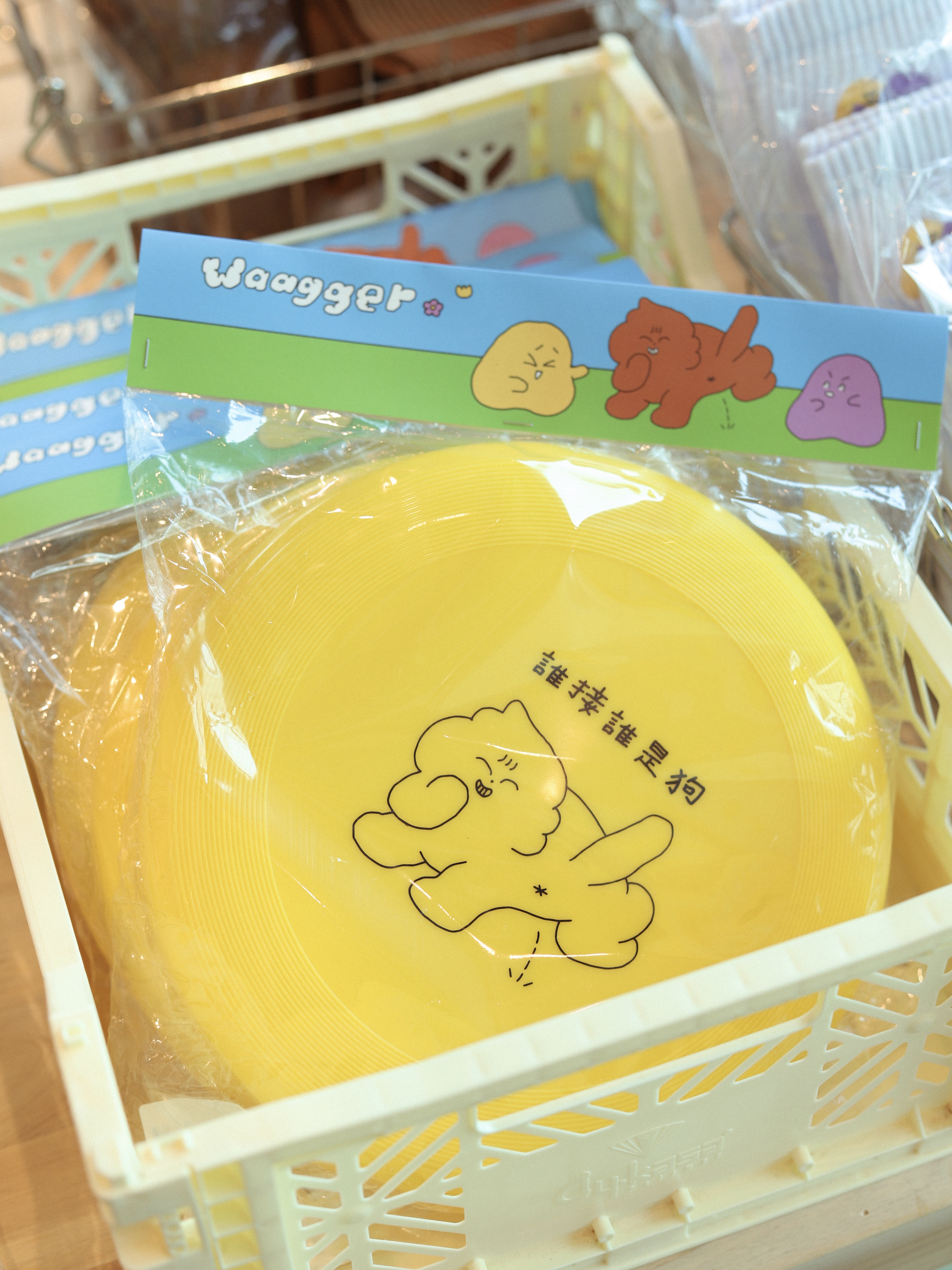 誰接誰是狗 飛盤