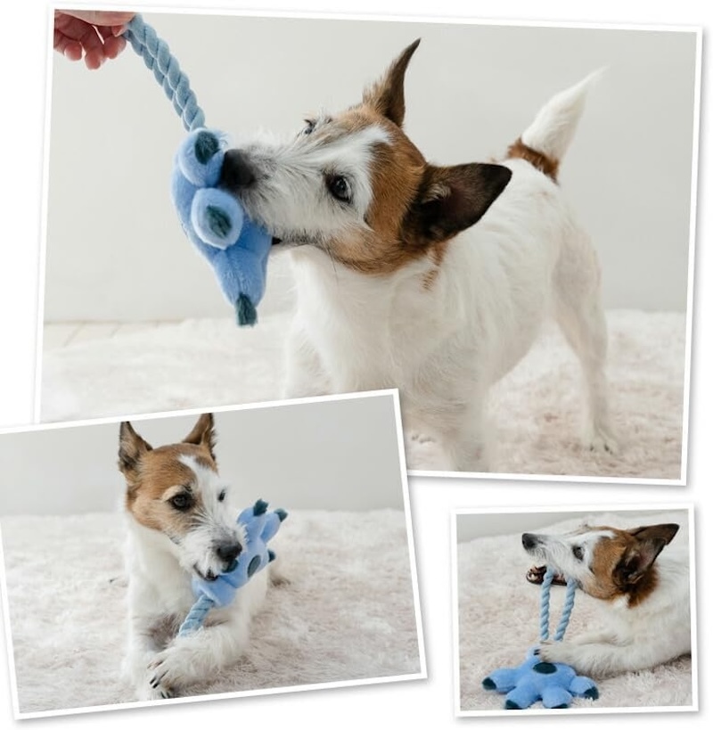 日本直送 史迪仔手掌造型咬咬繩結玩具