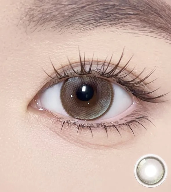 [日拋] OLOLA Meow 1 Day Savannah Brown｜彩妝隱形眼鏡｜每盒10片