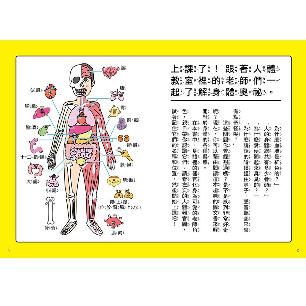 【樂森藥局】幼福文化 人體先生圖鑑 器官小老師帶你認識身體奧祕