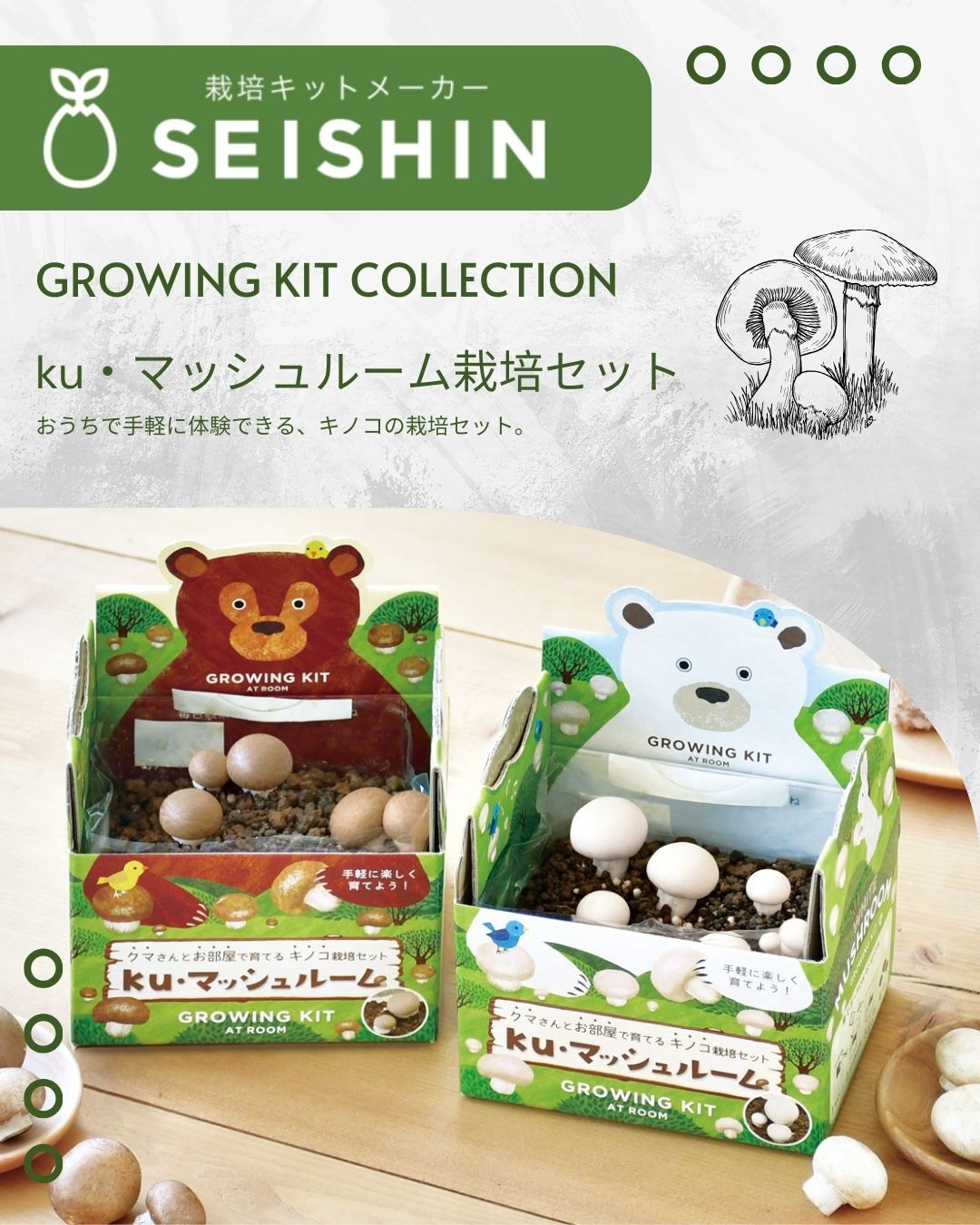 Seishin 新品 GD-1020 Growing Kit 蘑菇栽培小盆栽|日本直送