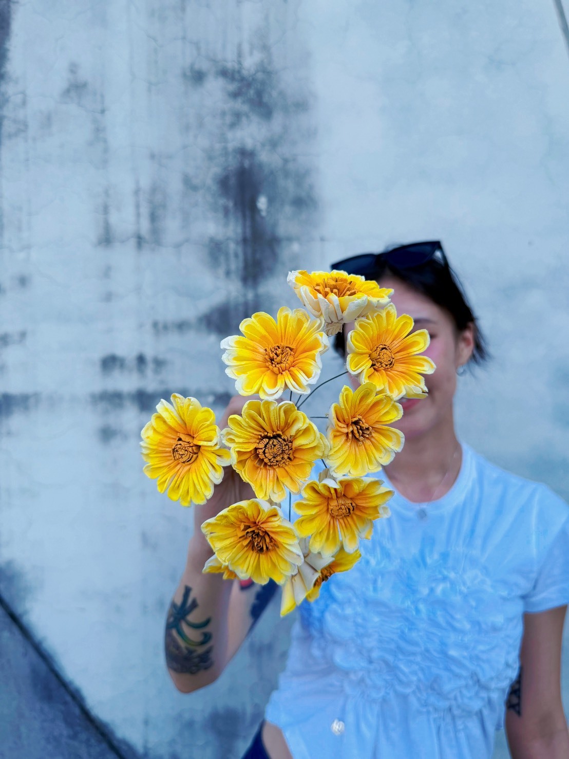 乾燥非洲太陽索拉