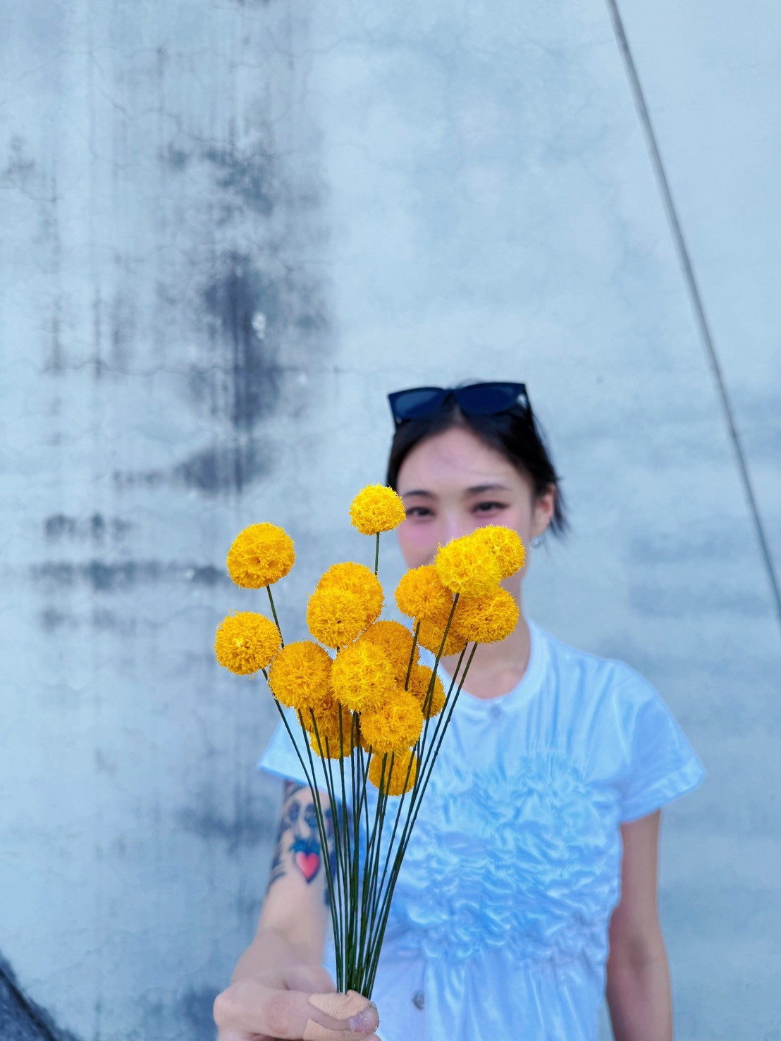 乾燥手工楓球（多色）