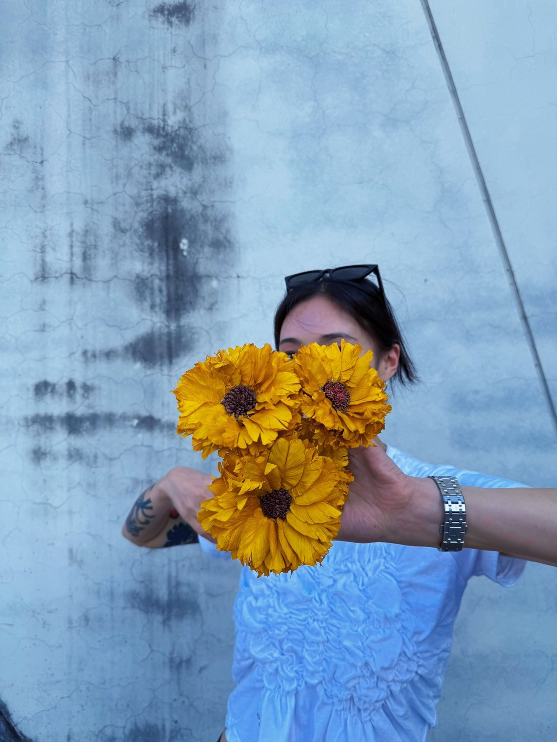 乾燥手工羽葉太陽