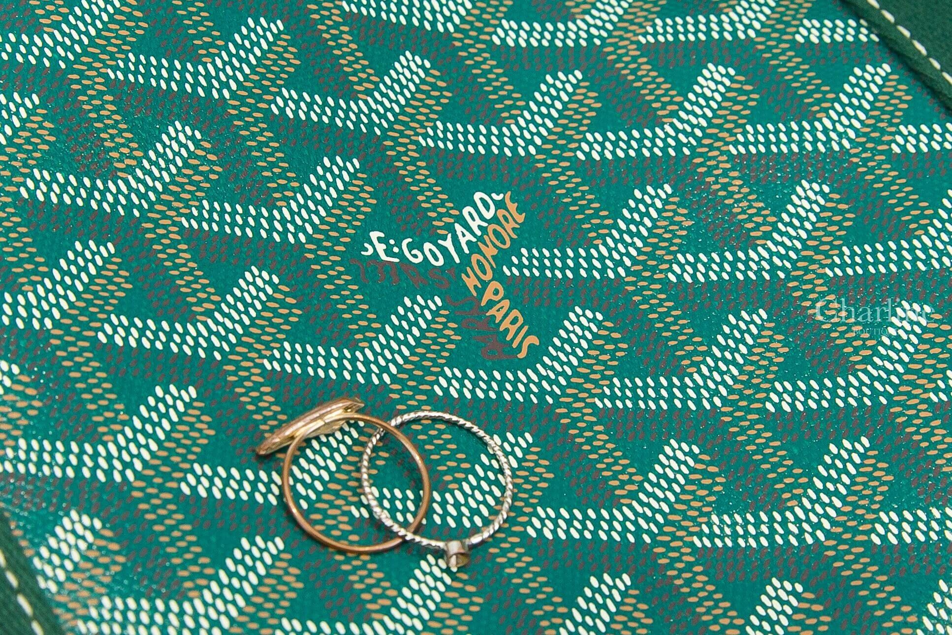Goyard Villette Tote Bag MM 綠色帆布彩繪讀書法鬥小牛皮同色提把托特包