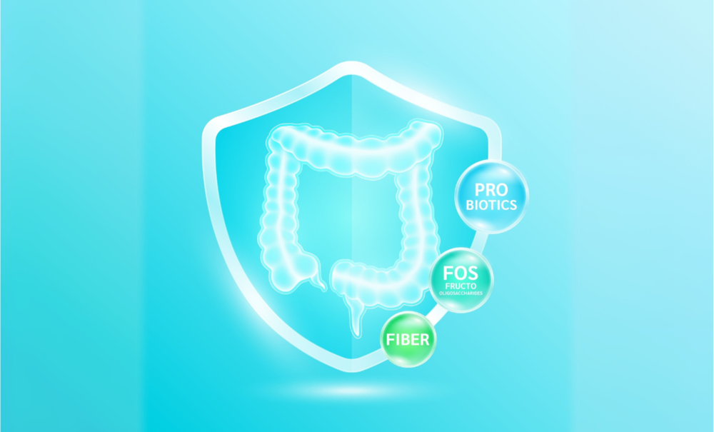 益生菌跟膳食纖維? 該吃哪個?