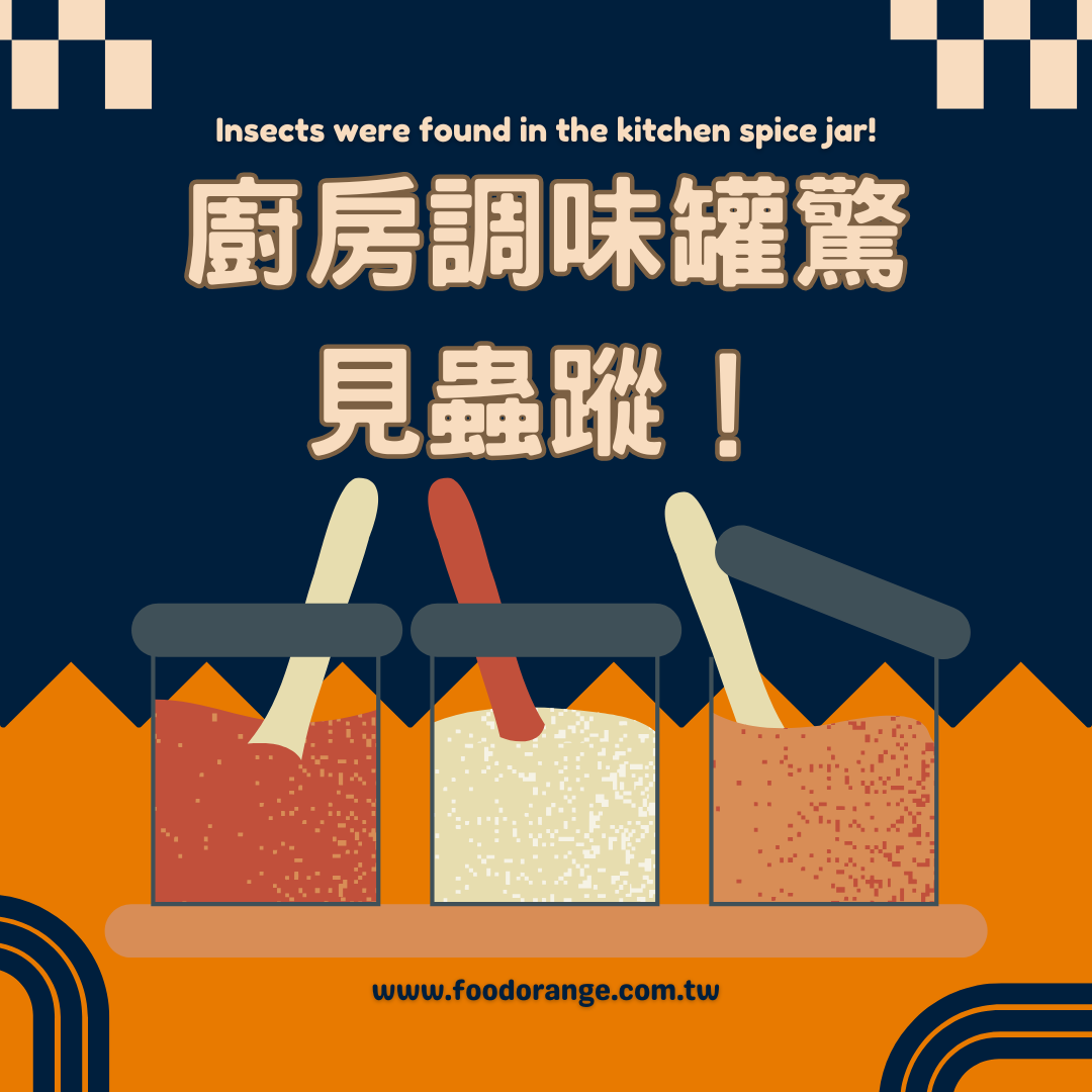 廚房調味罐驚見蟲蹤！專家揭密成因與預防方法完整解析