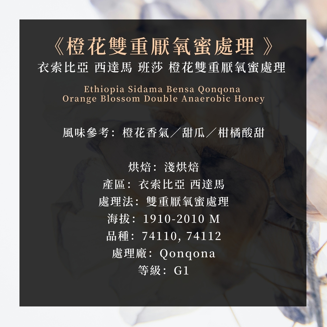 淺烘焙︱《橙花雙重厭氧蜜處理 》衣索比亞 西達馬 班莎 橙花雙重厭氧蜜處理 ﹙半磅裝／227g﹚