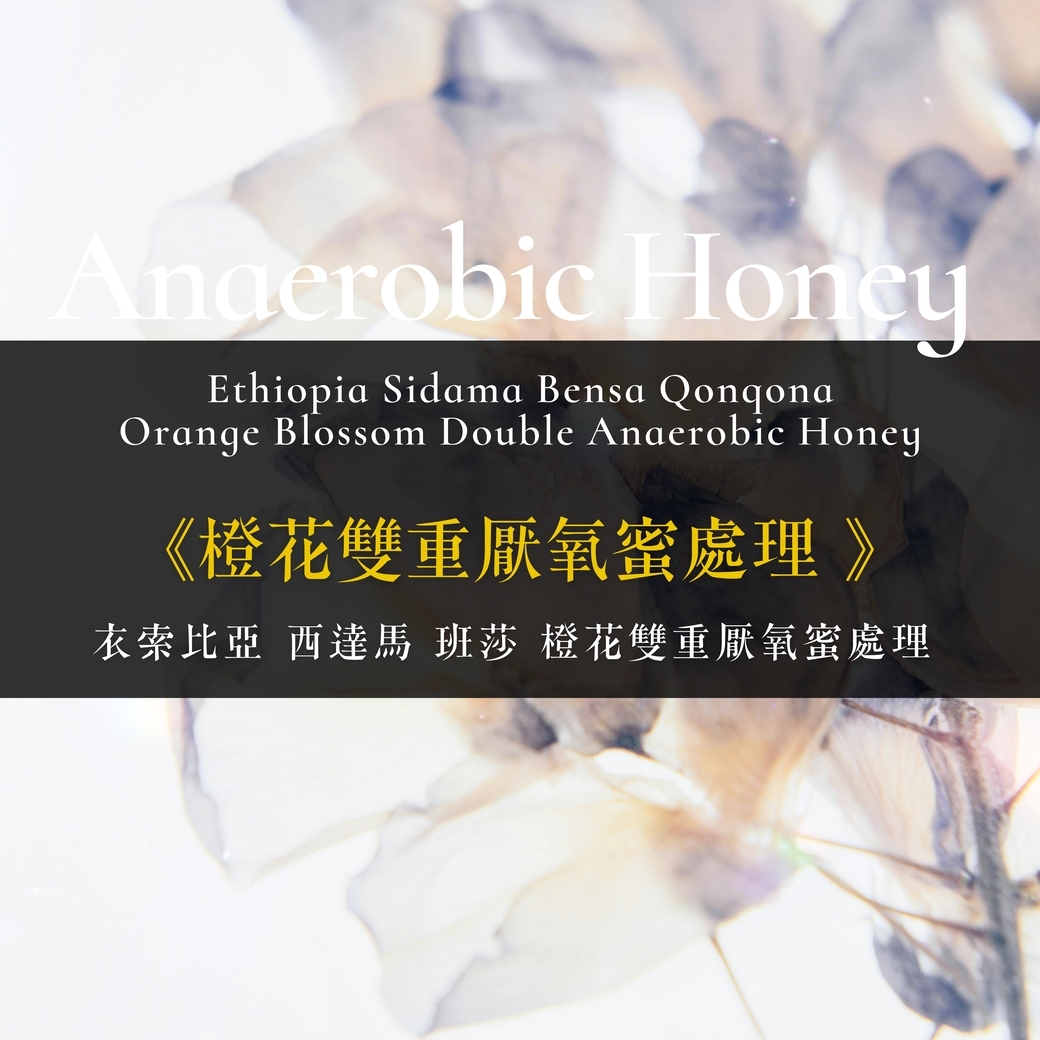 淺烘焙︱《橙花雙重厭氧蜜處理 》衣索比亞 西達馬 班莎 橙花雙重厭氧蜜處理 ﹙半磅裝／227g﹚