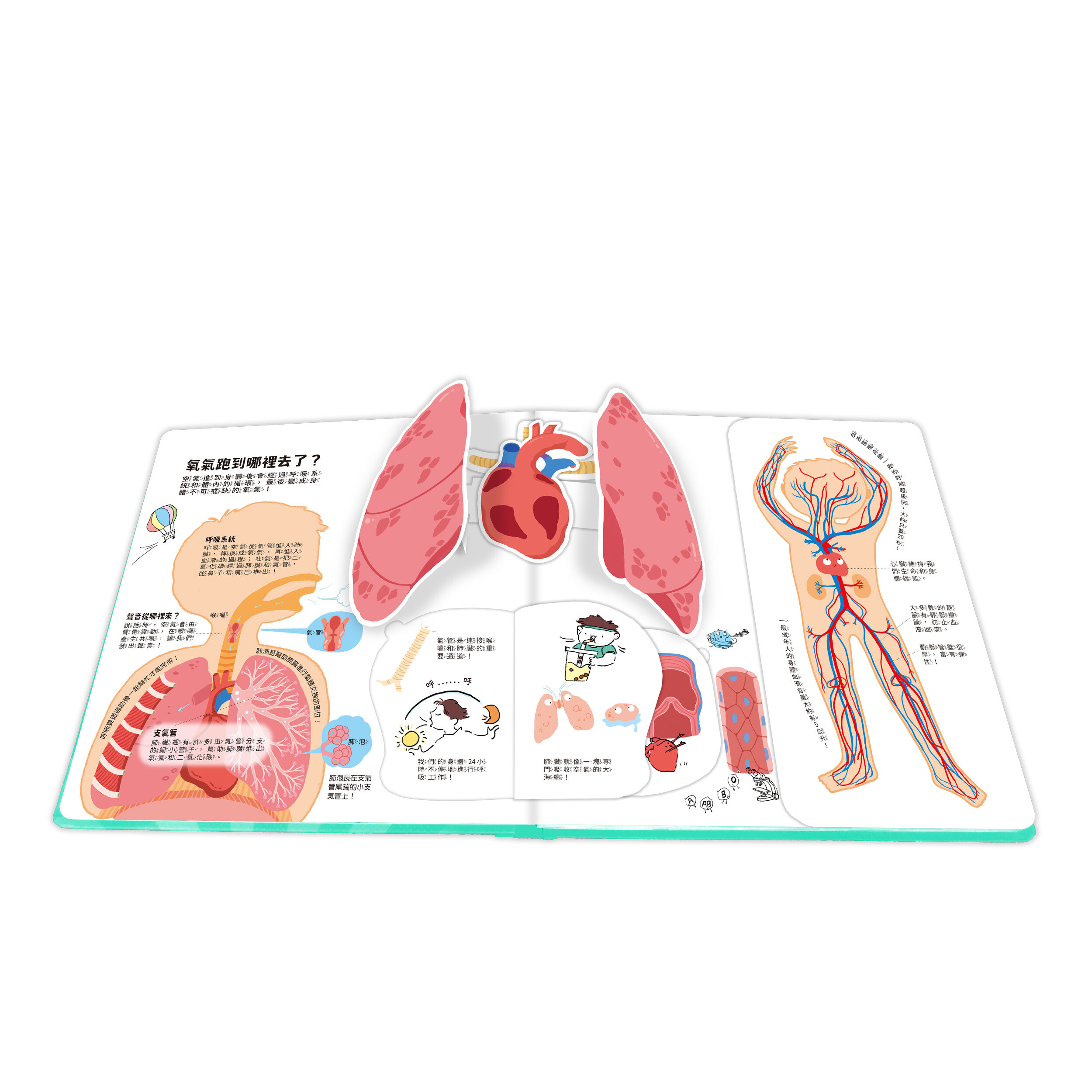 禾流文創 知識立體翻翻書 身體好重要！