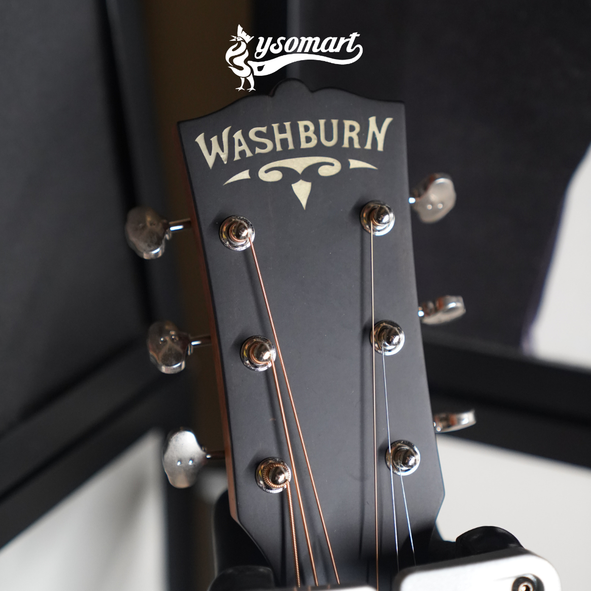 Washburn RSD135-D 135週年全單板紀念琴
