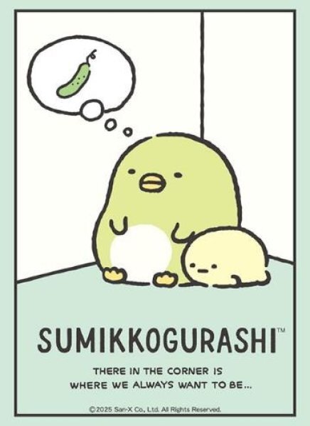 HG卡套 角落生物 企鵝&粉圓 Vol.4743