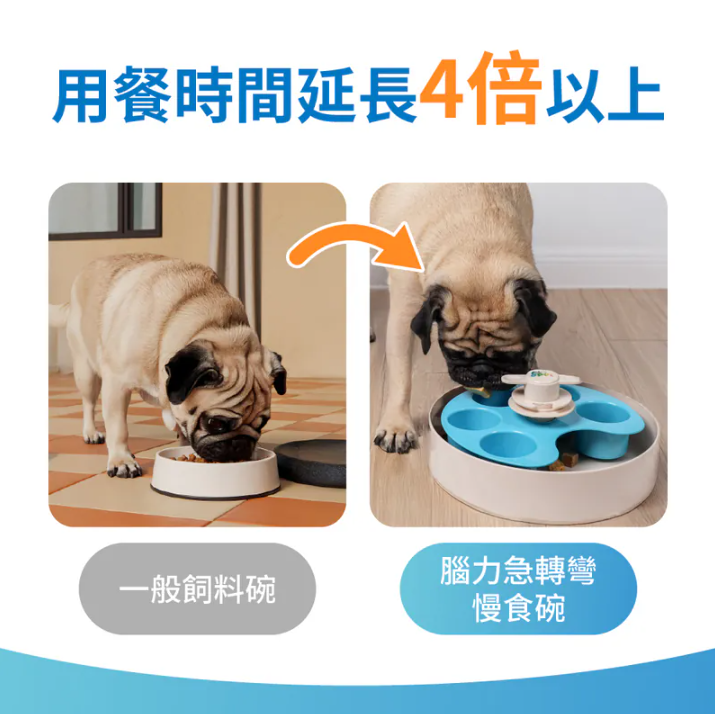 英國 PetDreamHouse 腦力急轉彎慢食碗|轉轉調色盤