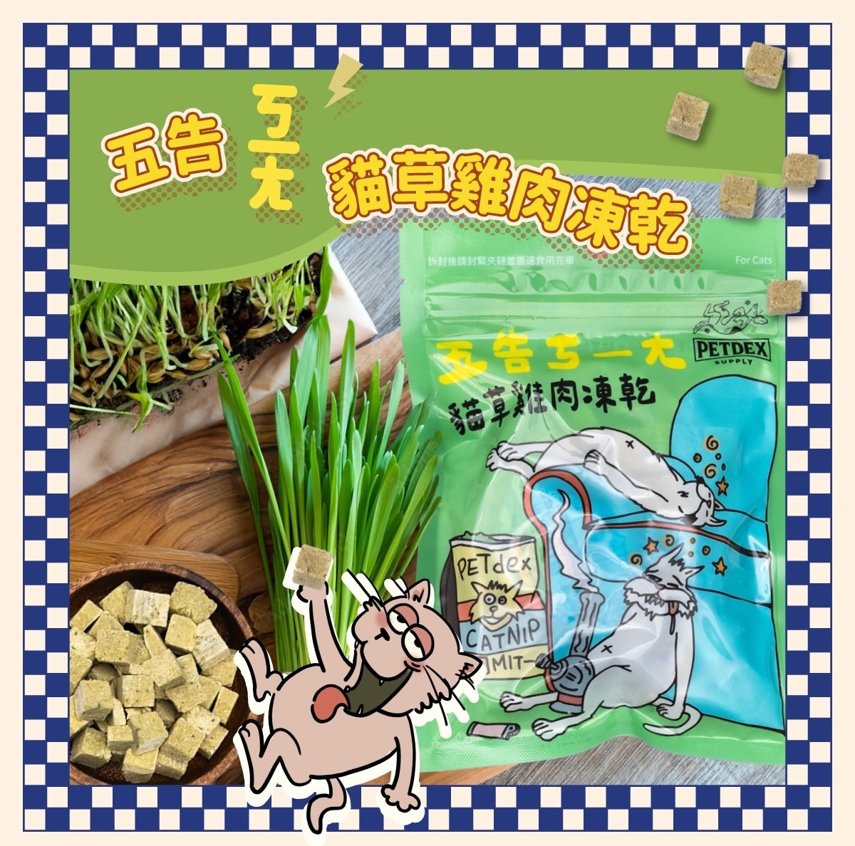 五告 寵物凍乾,貓草 寵物凍乾 推薦,派庫廚房 貓草 優格凍乾,寵物 優格凍乾