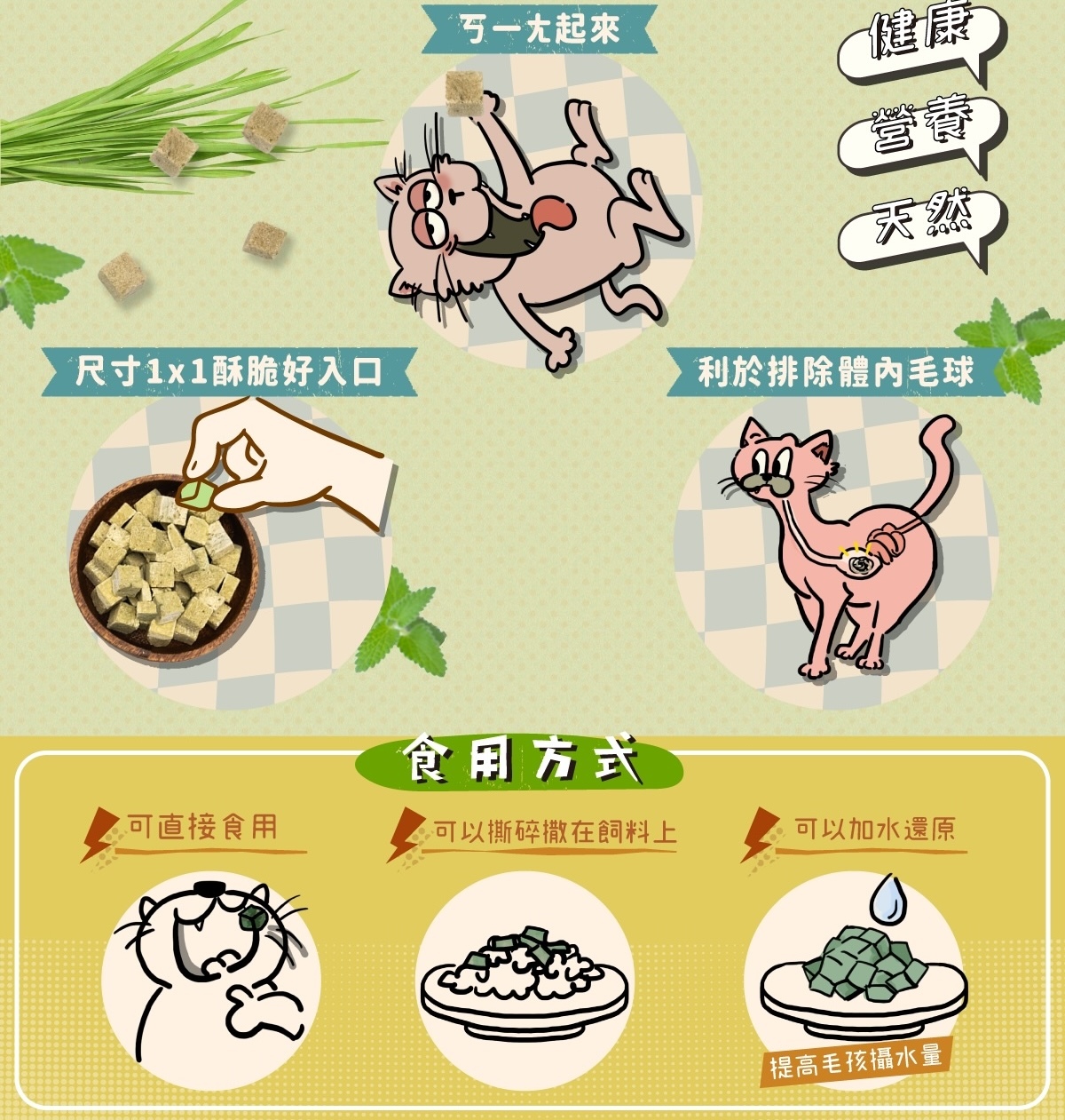五告 寵物凍乾,貓草 寵物凍乾 推薦,派庫廚房 貓草 優格凍乾,寵物 優格凍乾