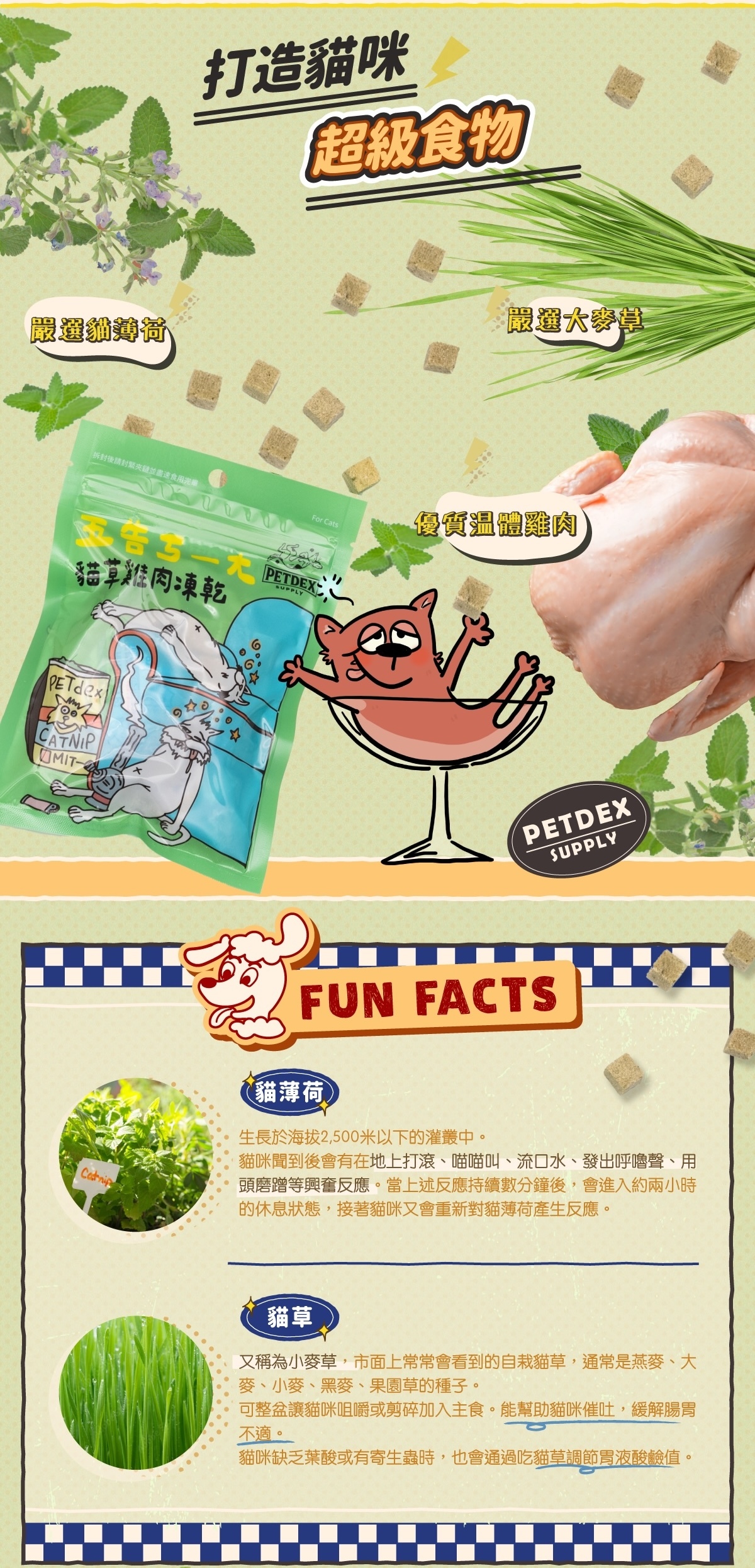 五告 寵物凍乾,貓草 寵物凍乾 推薦,派庫廚房 貓草 優格凍乾,寵物 優格凍乾