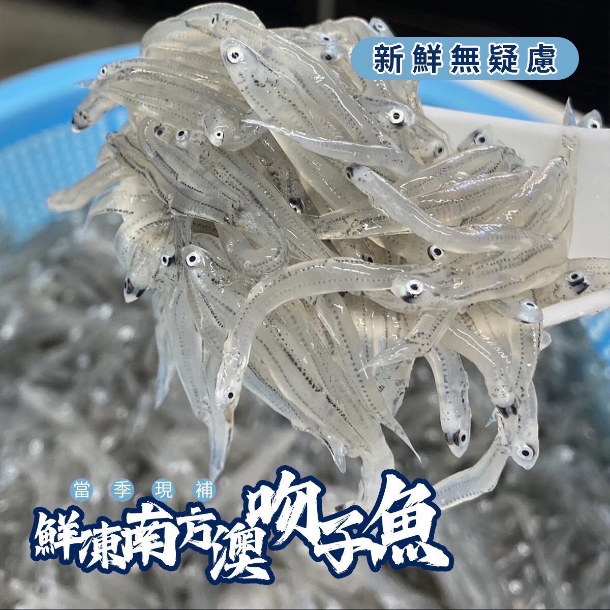 本港的活凍生吻仔魚