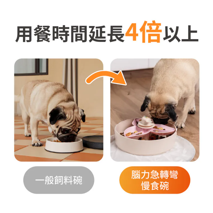 英國 PetDreamHouse 腦力急轉彎慢食碗|轉轉三葉草