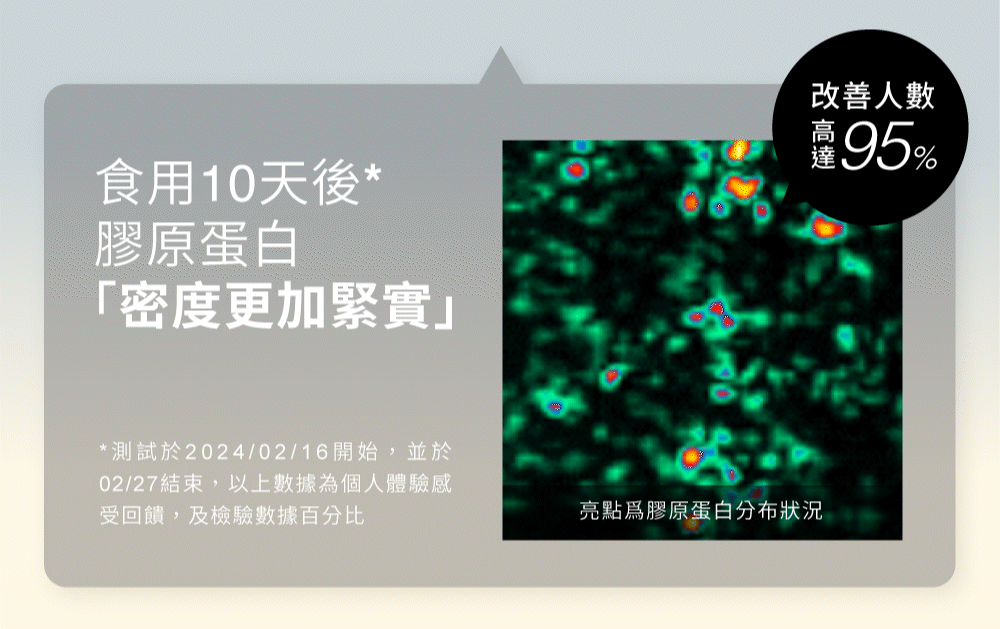 食用10天，膠原蛋白密度更加緊實