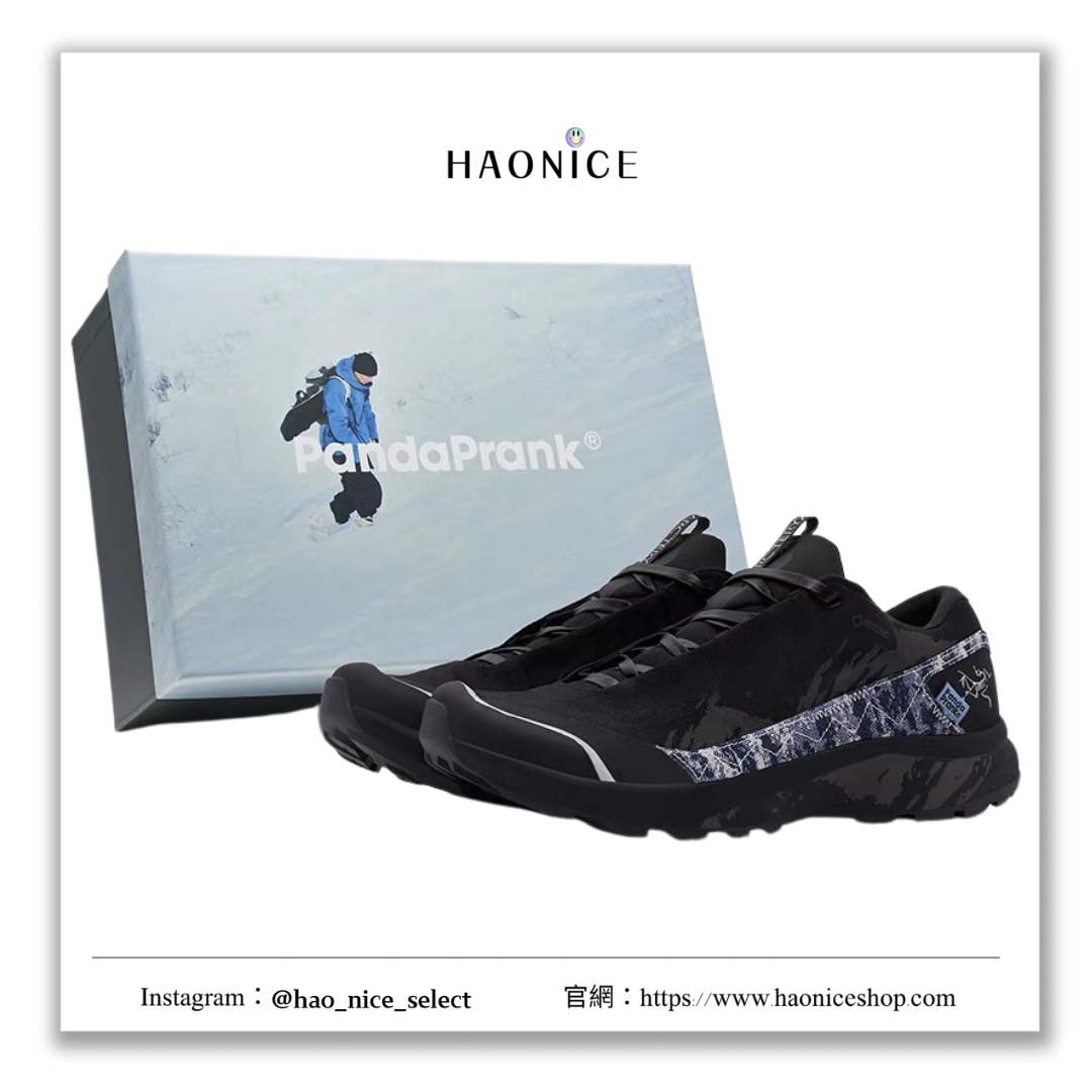【HAO NICE 】熊貓惡作劇系列 ❗️配合FAKEBUSTERS驗鞋 ❗️ Arcteryx始祖鳥 AERIOS FL GTX 雪徑春蹤系列 雪鳥訂製 低筒跑步鞋🔥