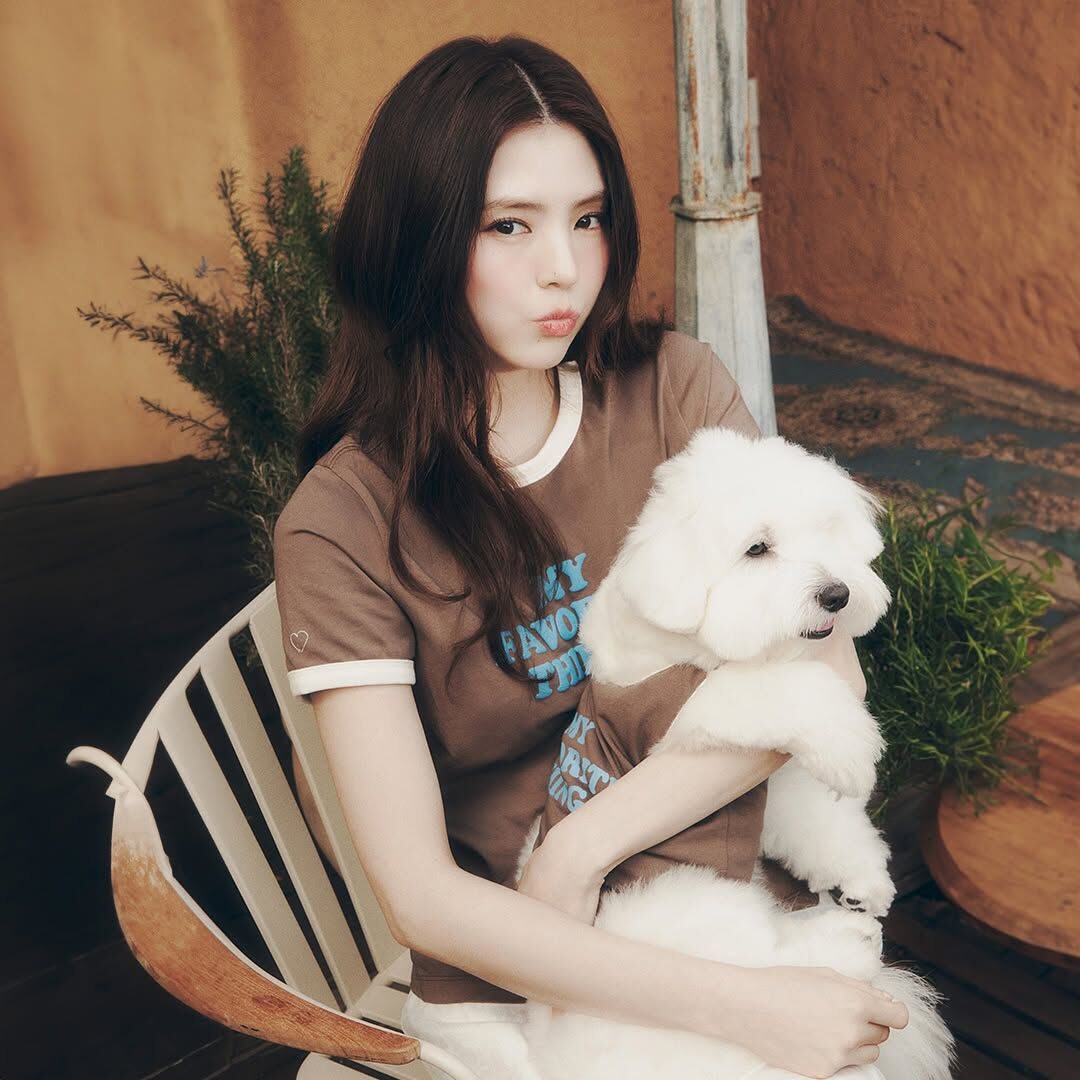 FILA "MY FAVORITE THINGS" 滾邊設計 短T 短袖 貼身 韓韶禧同款 女款 / 預購