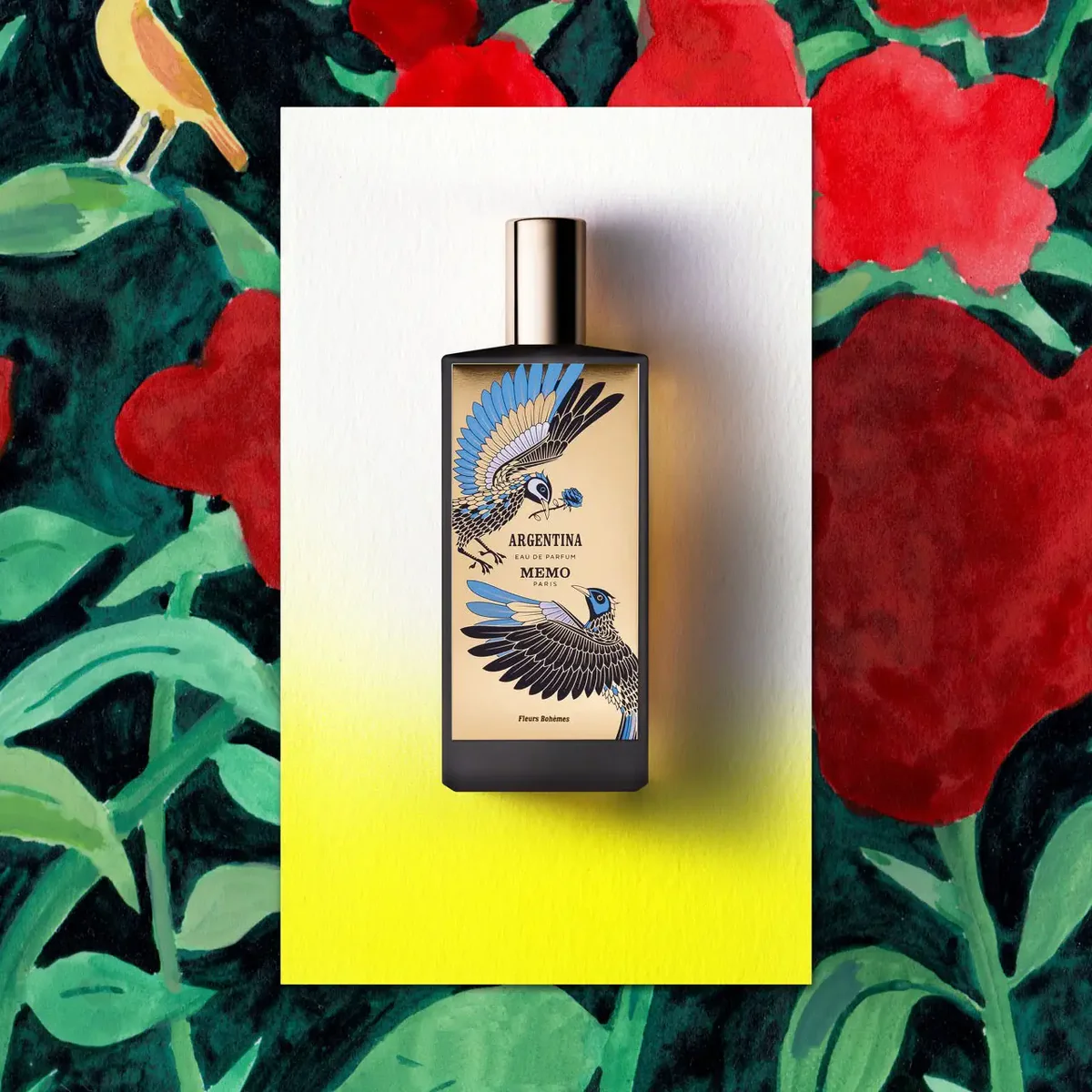 Argentina - MEMO Paris