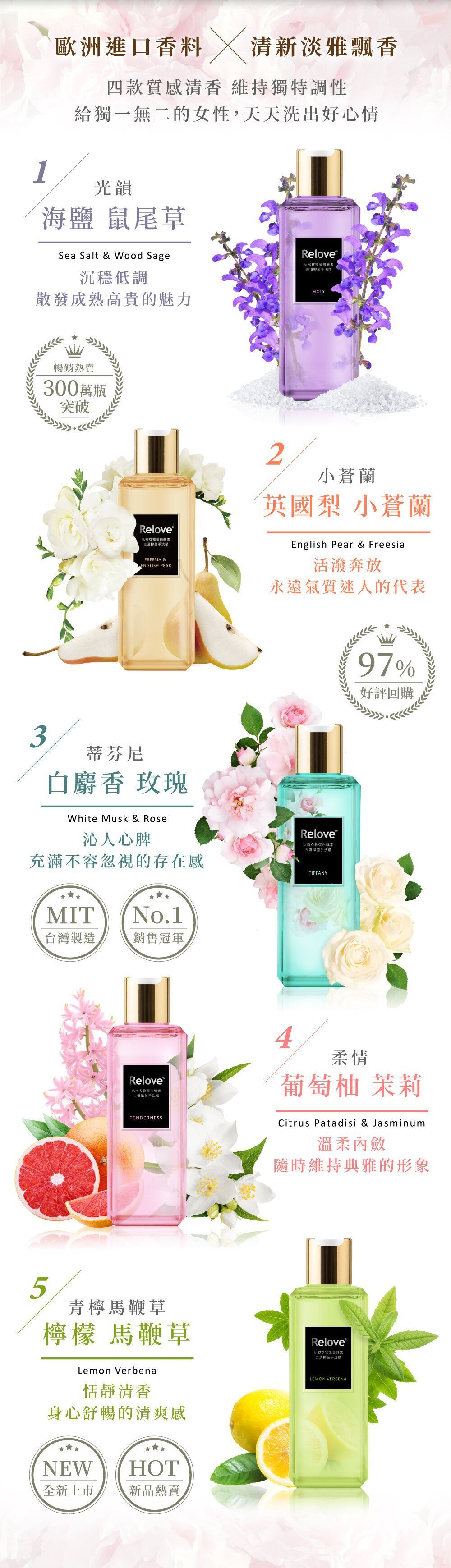 TW RELOVE - [內衣褲專用洗劑] 私密衣物蛋白酵素去漬抑菌手洗精 (AT5 618)