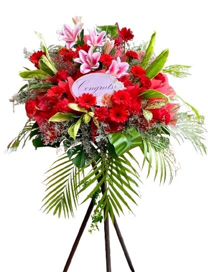 HCB150A (FREE DELIVERY)