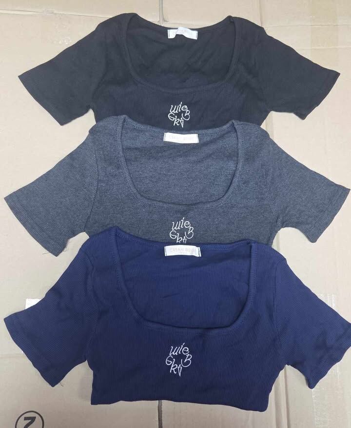 韓國 彈性大領貼身短袖衫 <清貨價貨品，不設退換>(AT5 624)