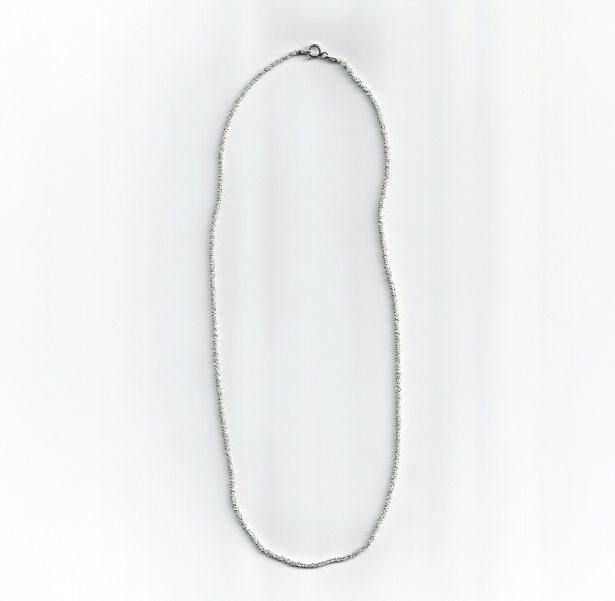 PROJ-ORNMNT 星塵細銀項鍊